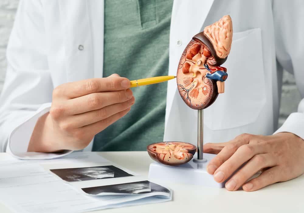 solitary-kidney
