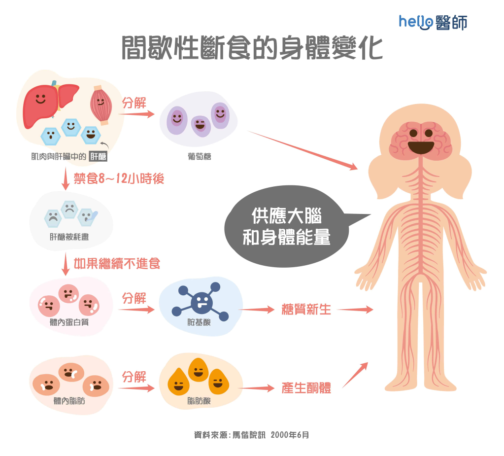 間歇性斷食的身體變化